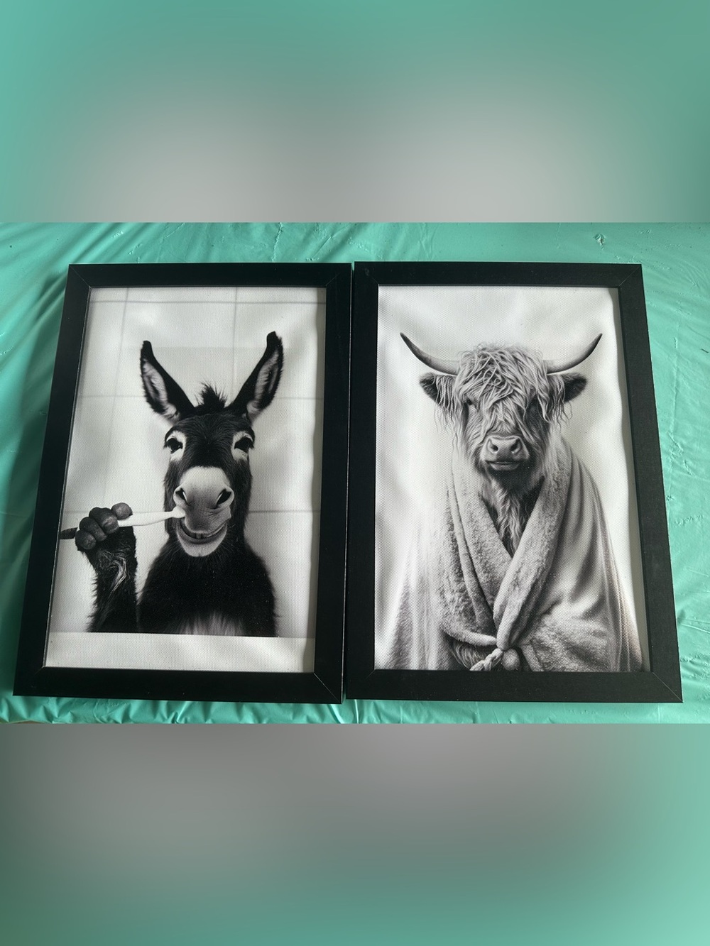 Set of 2 Black Framed Animal Prints - Donkey & Highland Cow